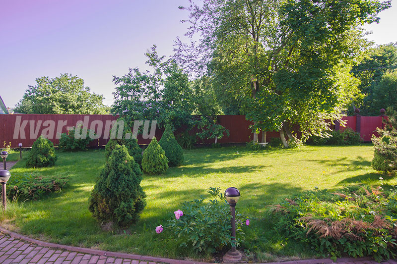 dvor2